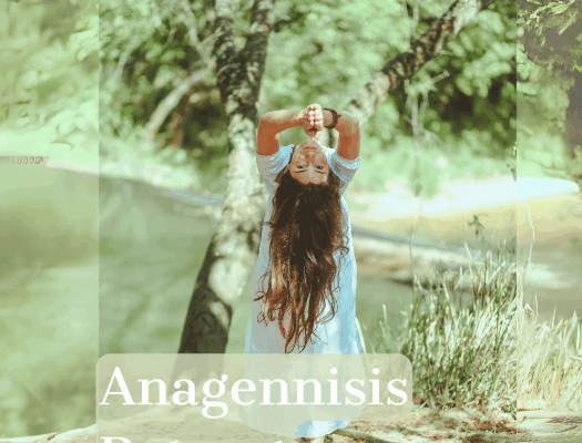 Anagennisis Retreat